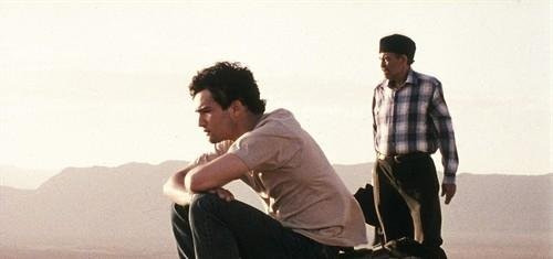 老爸的朝圣之旅的剧情梗概