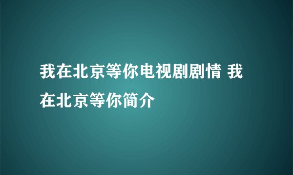 我在北京等你电视剧剧情 我在北京等你简介