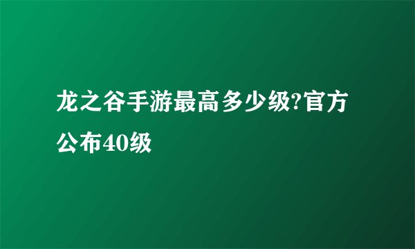 龙之谷手游最高多少级?官方公布40级