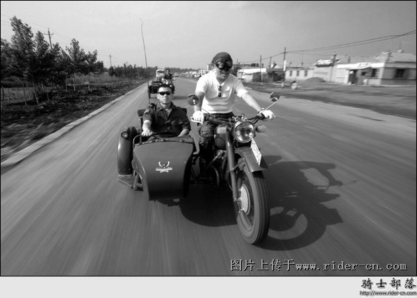 挎斗摩托车里的狗的剧情简介