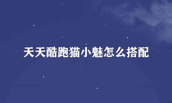天天酷跑猫小魅怎么搭配