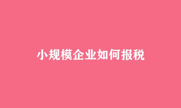 小规模企业如何报税