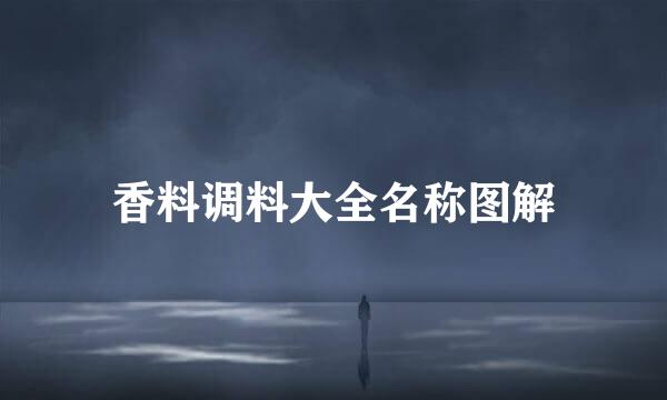 香料调料大全名称图解