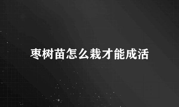枣树苗怎么栽才能成活