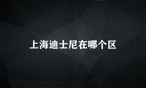 上海迪士尼在哪个区