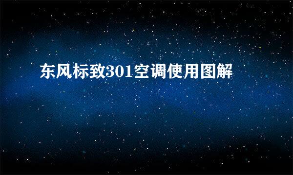 东风标致301空调使用图解