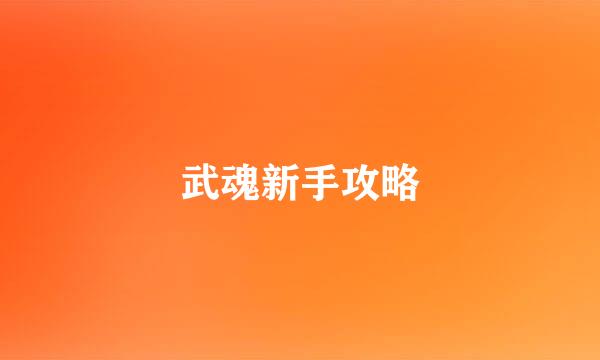 武魂新手攻略