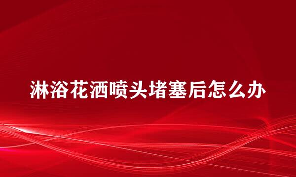 淋浴花洒喷头堵塞后怎么办
