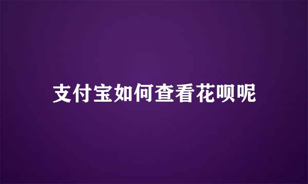 支付宝如何查看花呗呢