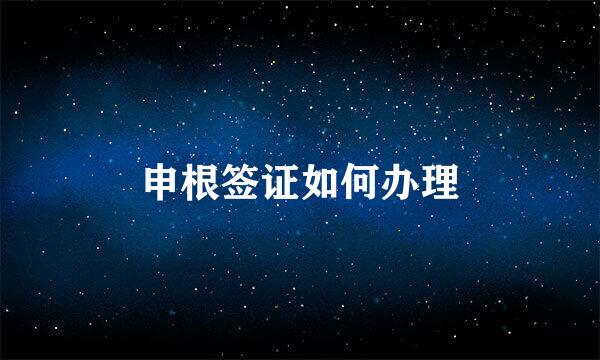 申根签证如何办理