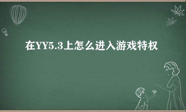 在YY5.3上怎么进入游戏特权
