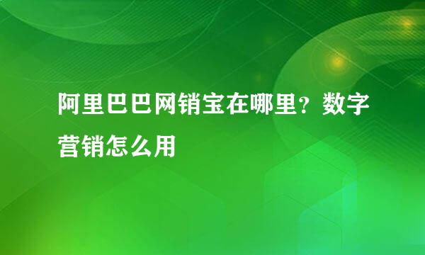 阿里巴巴网销宝在哪里?数字营销怎么用