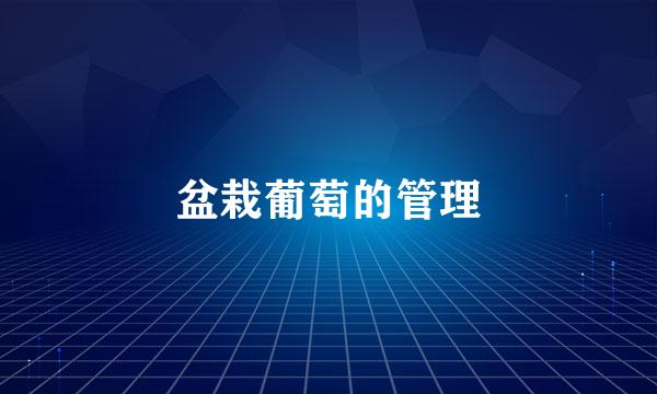盆栽葡萄的管理