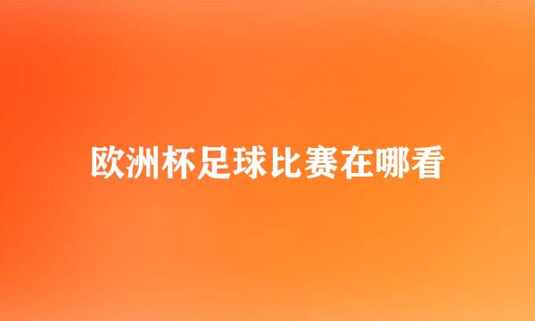 欧洲杯足球比赛在哪看