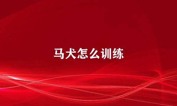马犬怎么训练