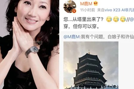 赵雅芝回复鹿晗 网友表示两个人皮一下很开心