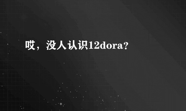 哎,没人认识12dora?
