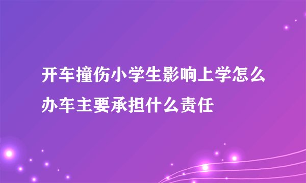 开车撞伤小学生影响上学怎么办车主要承担什么责任