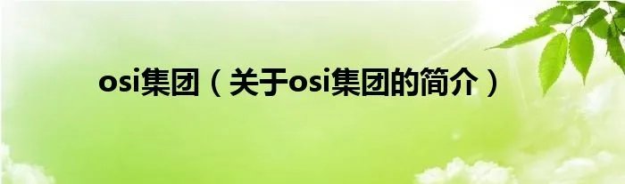 osi集团（关于osi集团的简介）