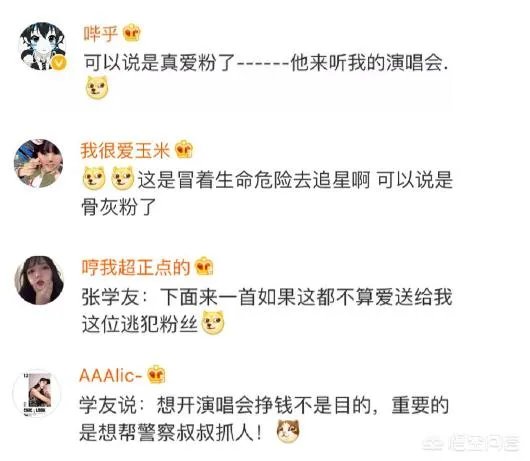 如何看待张学友赣州演唱会，一逃犯落网？