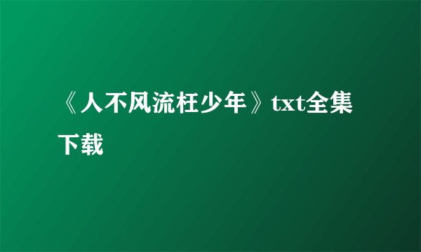 《人不风流枉少年》txt全集下载