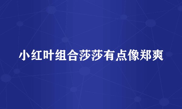 小红叶组合莎莎有点像郑爽