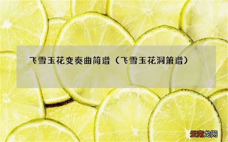 飞雪玉花洞箫谱 飞雪玉花变奏曲简谱