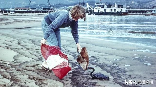 世界地球日是什么节日，什么来历？