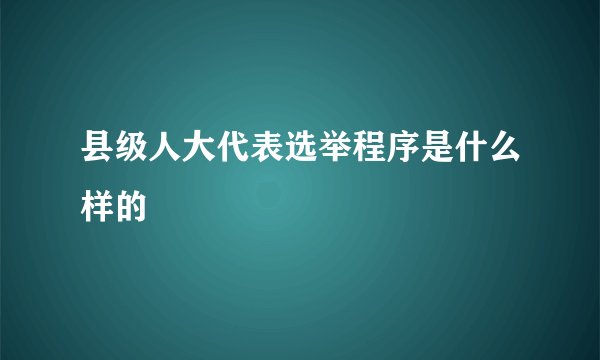 县级人大代表选举程序是什么样的