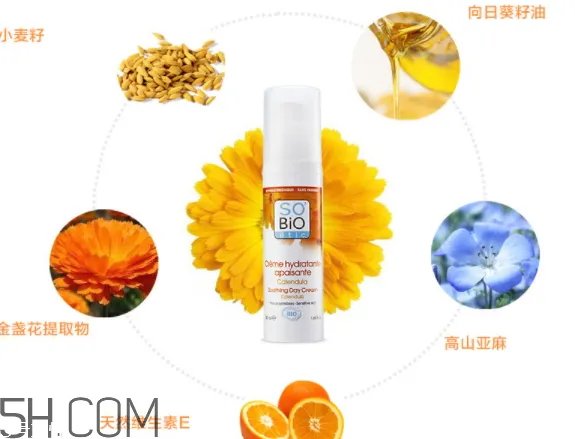 诗蓓欧属于什么档次 诗蓓欧是小牌子吗