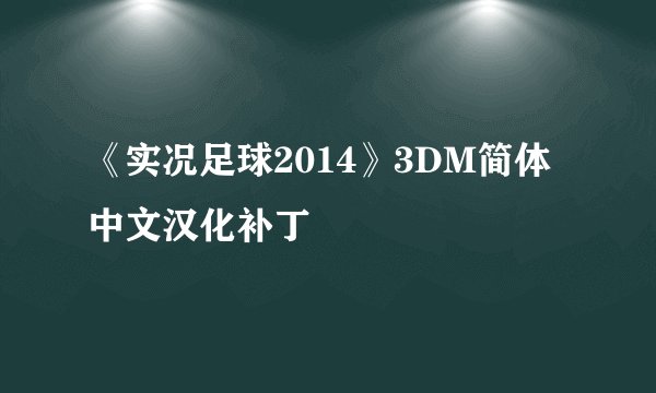 《实况足球2014》3DM简体中文汉化补丁