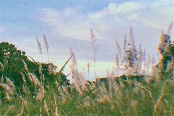 2020抖音网红歌曲排行榜：音乐魔性洗脑，旋律朗朗上口