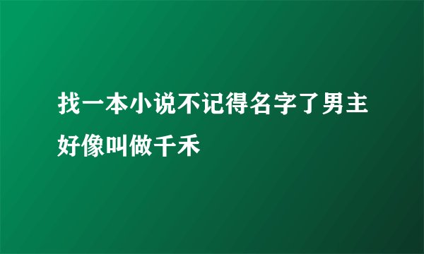 找一本小说不记得名字了男主好像叫做千禾