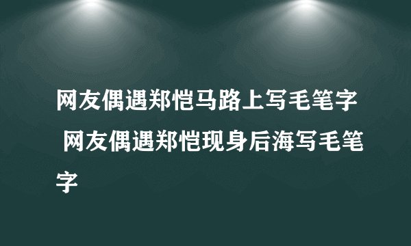 网友偶遇郑恺马路上写毛笔字 网友偶遇郑恺现身后海写毛笔字