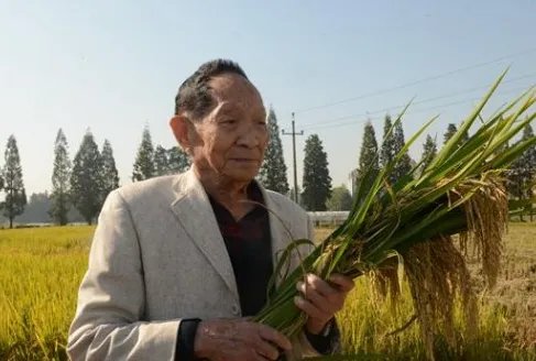 袁隆平人物事迹和精神是什么?