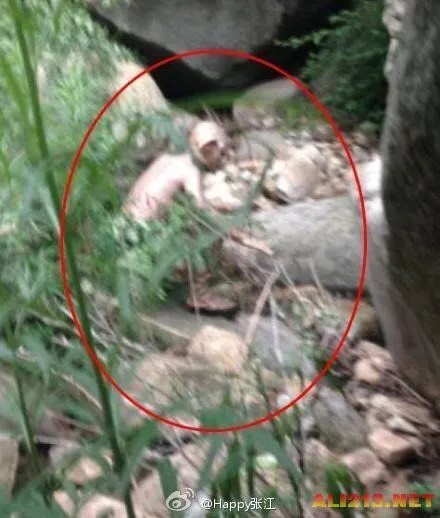 北京怀柔惊现怪兽 真相不日曝光 原来竟然是...