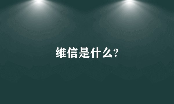 维信是什么?