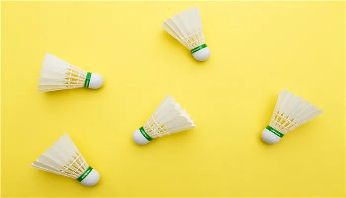 一只羽毛球上通常会有几根羽毛 一个羽毛球上一般有几根羽毛