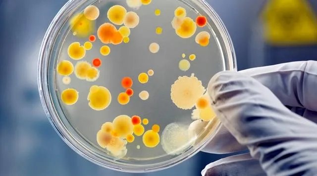 怎样辨别毒面膜?