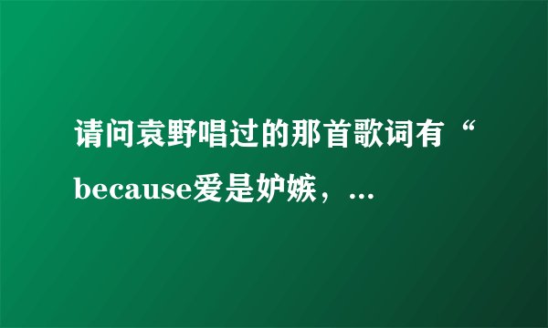 请问袁野唱过的那首歌词有“because爱是妒嫉，爱是怀疑…”的歌名是什么？