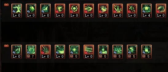 DNF巴卡尔帕拉丁刷图加点