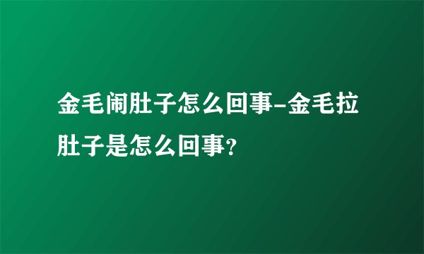 金毛闹肚子怎么回事-金毛拉肚子是怎么回事?