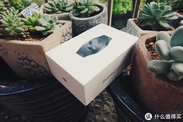 乐心智能手环mambo2怎么样