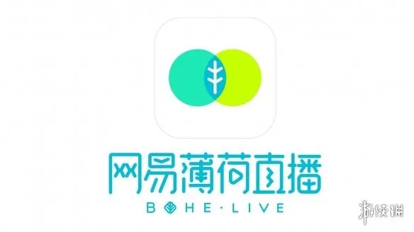 网易薄荷直播停止运营怎么回事 薄荷直播停止运营事件整理