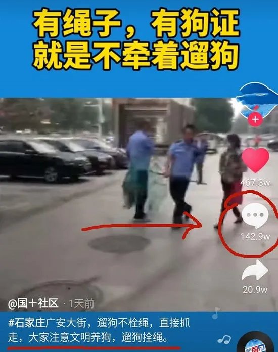 遛狗不拴绳狗被暂扣主人大哭 400多万网友点赞支持