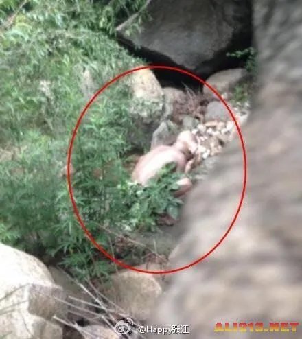 北京怀柔惊现怪兽 真相不日曝光 原来竟然是...