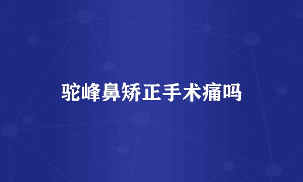 驼峰鼻矫正手术痛吗