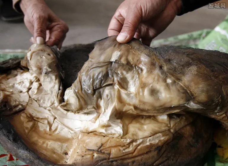 男子捡140斤太岁 太岁生长在什么地方?