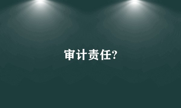 审计责任?