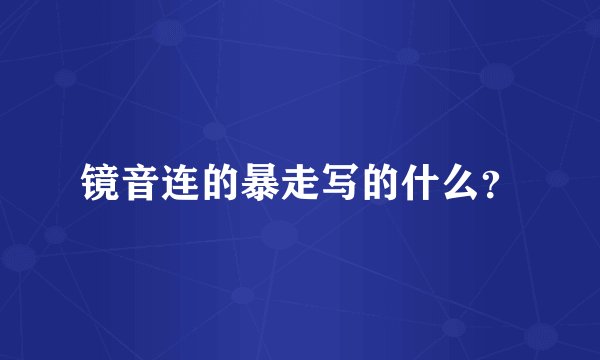 镜音连的暴走写的什么？